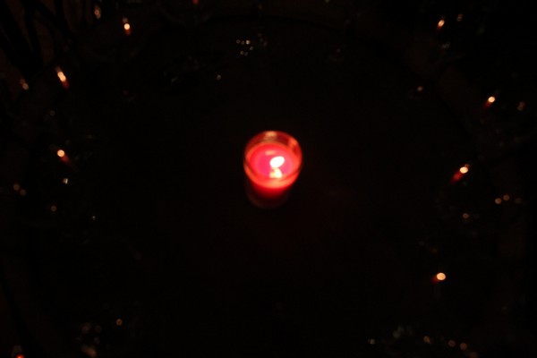 Lighting of the Christmas Trees